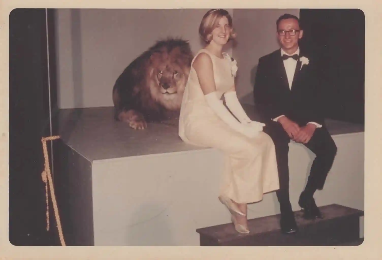 AC dance Jan 1967 with lion Horst + Marilyn Haupt